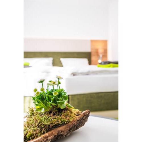 Hotel-Pension Treppengasse Nr 5 bis 6