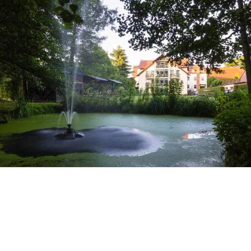 Hotel & Restaurant Am Alten Rhin