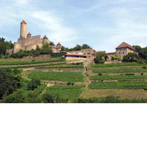 Hotel-Restaurant Burg Hornberg