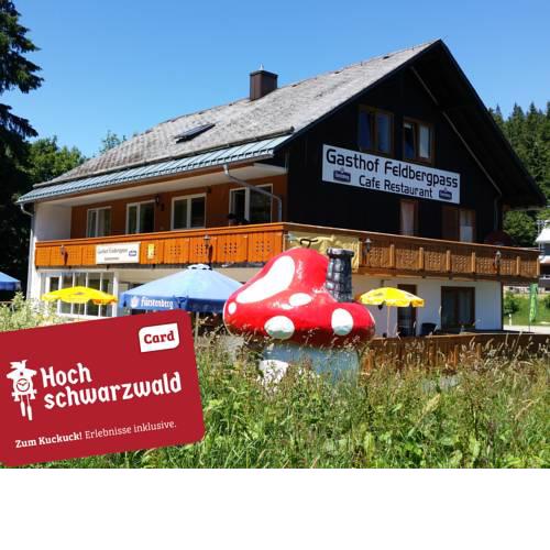 Hotel Restaurant Feldbergpass