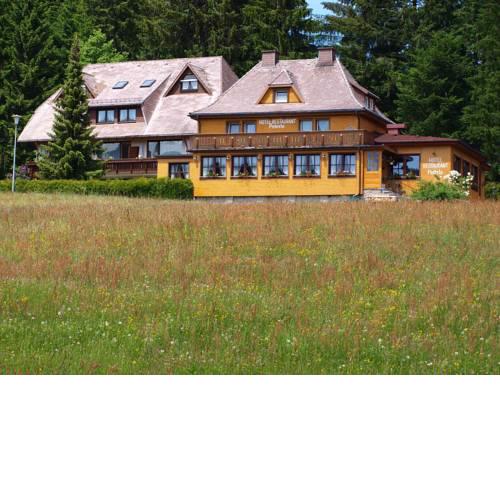 Hotel Restaurant Peterle