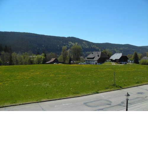 Hotel Rheingold Garni