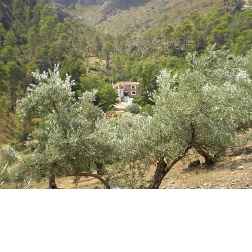 Hotel Rural "Hospederia Las Cañadillas"
