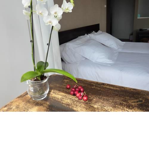 Hotel San Miguel