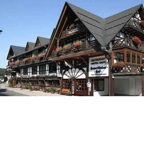 Hotel Sauerländer Hof