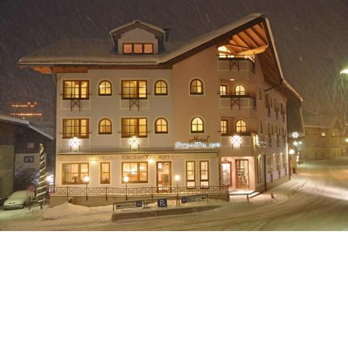 Hotel Schattauer