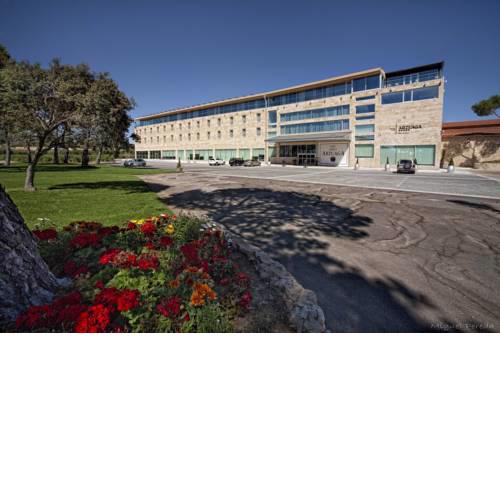 Hotel & Spa Arzuaga