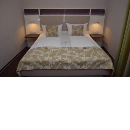 Hotel Stadt Heidelberg