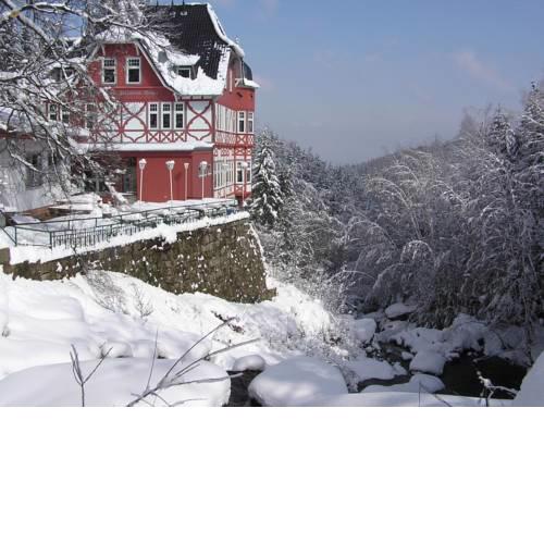 Hotel Steinerne Renne
