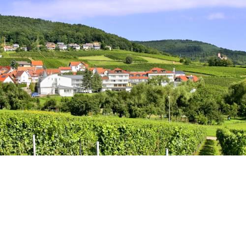 Hotel Südpfalz-Terrassen