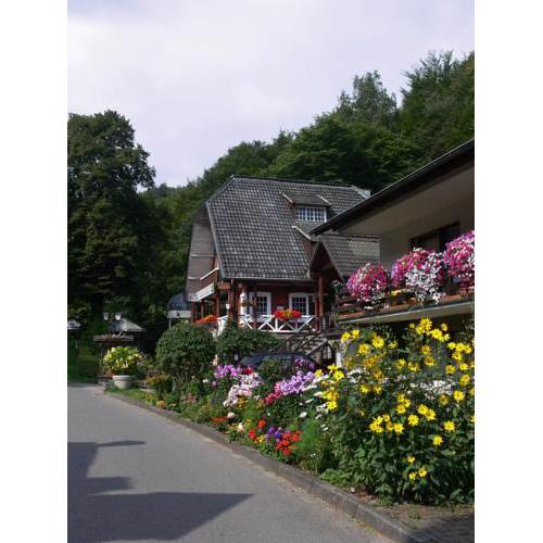 Hotel Talschenke