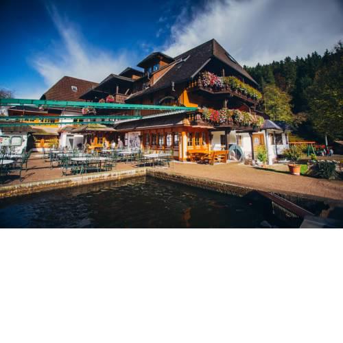 Hotel Tannenmühle