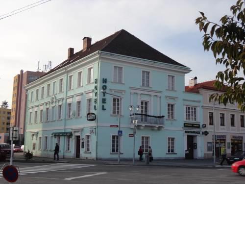 Hotel U Hroznu