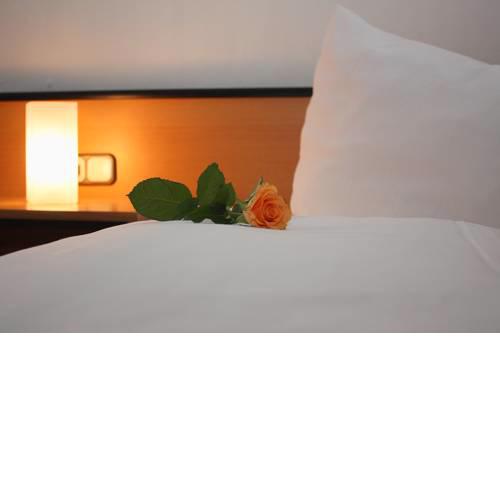 Hotel Villa Barriere Rehm