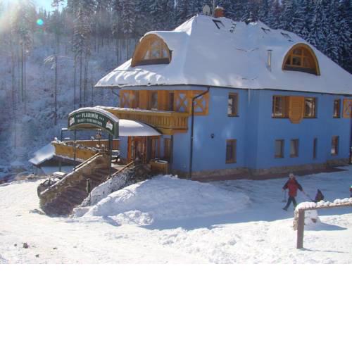 Hotel Vladimír