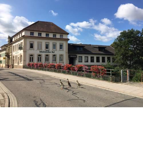 Hotel Waibstadter Hof