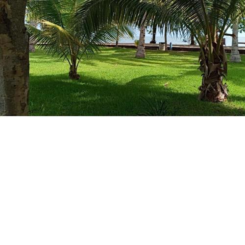 Hotel Wailiti