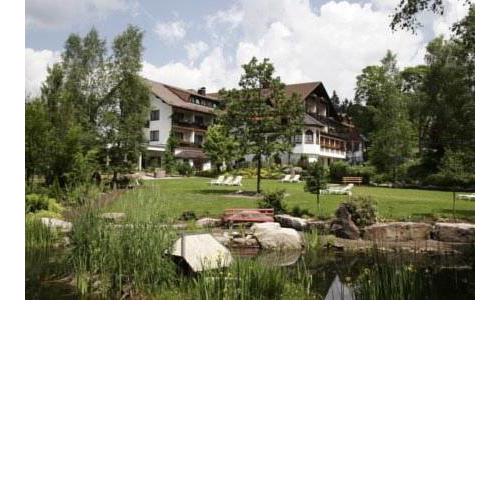 Hotel Waldblick Kniebis