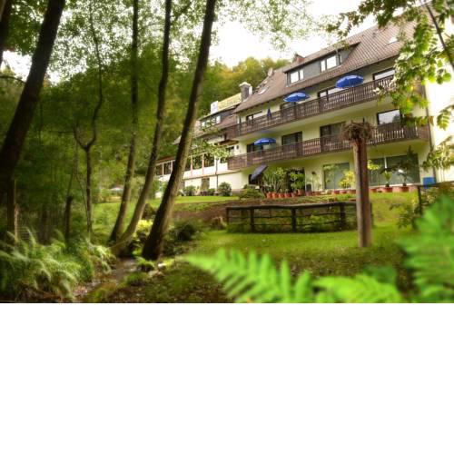 Hotel Waldhaus