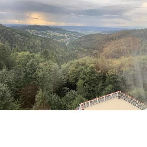 Hotel Wiedenfelsen