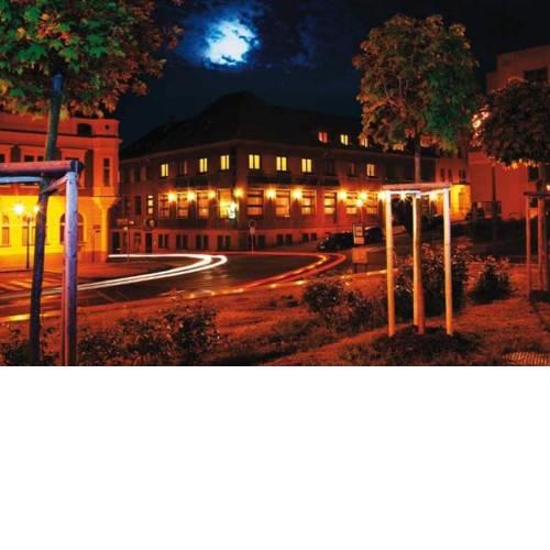Hotel Zelený Strom