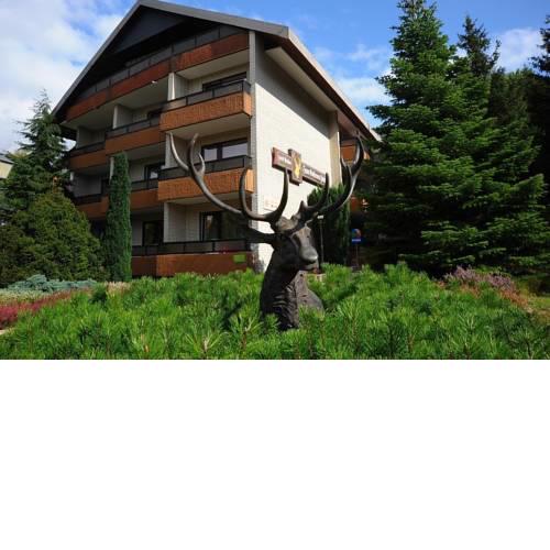 Hotel Zum Goldenen Hirsch