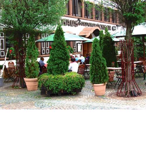Hotel zum Goldenen Ochsen