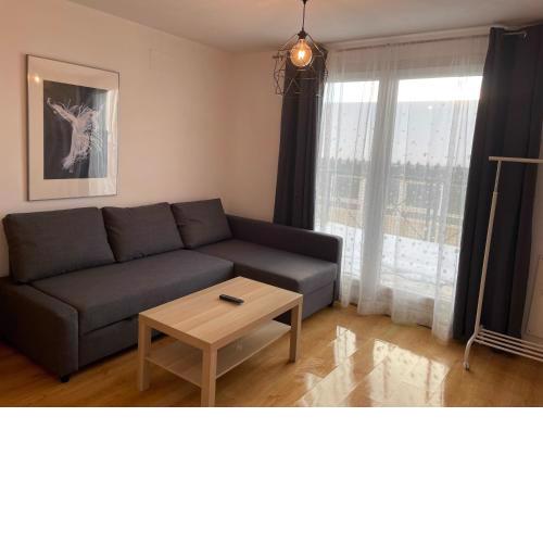 HOUSE ESTUDIO CON TERRAZA II