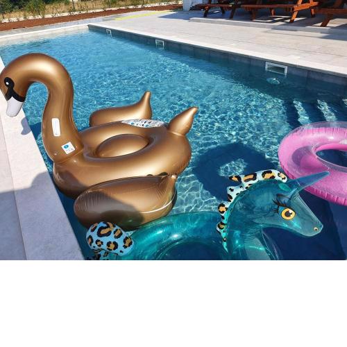 House Lucija Family apartments for max 6 persons with pool in Poreč