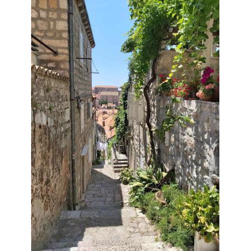 House Marija in Old Town