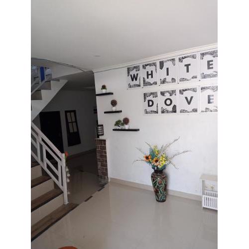 House White Dove