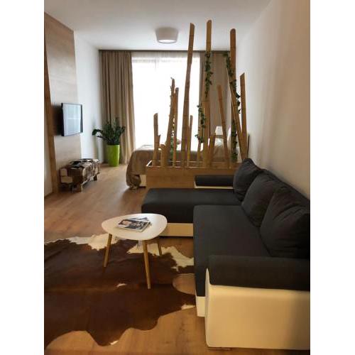Hrebienok 2 Apartmán D107
