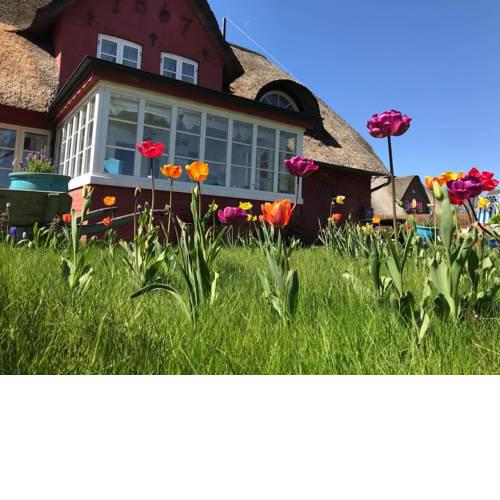 Hüs Sanskiin Ferienwohnung *Aawerkant*
