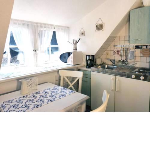 Hüs Sanskiin Ferienwohnung *Eerdglüper*