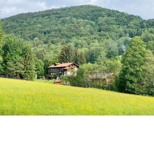 Hüttenflair im Gut Sonnenwald