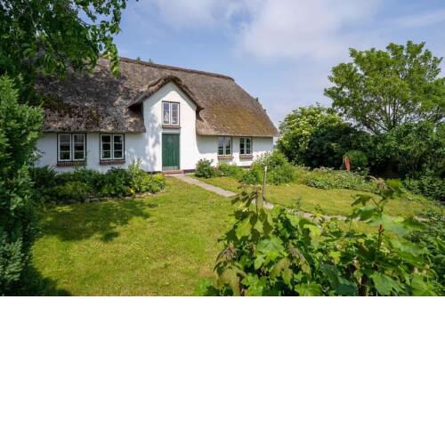HYGGE unter Reet