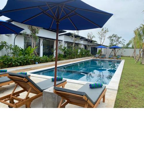 IBI bali