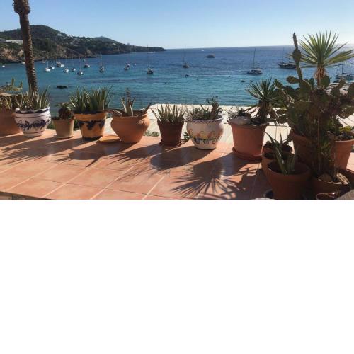 Ibiza Beach Sun
