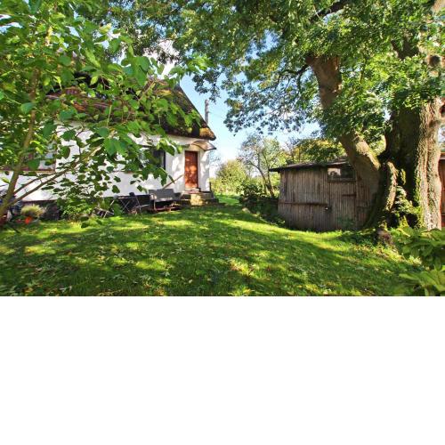 Idyllische Ferienwohnung am Moor Lohme RUEG 2321