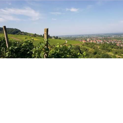 Idyllisches wohnen in den Weinbergen von Baden-Baden