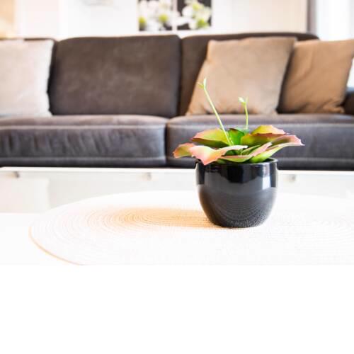 Im Sonnengarten Wohnung 18