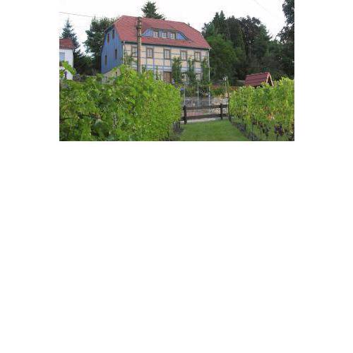 In der alten Weinstube