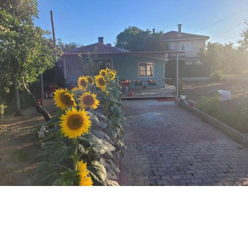 in the village, with a garden, one floor, detached