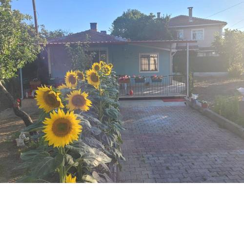 in the village, with a garden, one floor. Detached