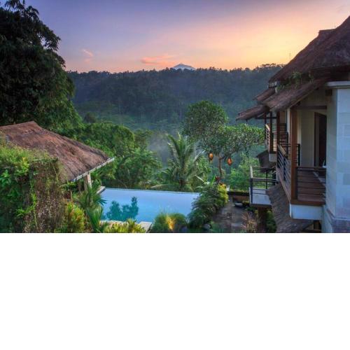 Infinity Jungles View Private Villas