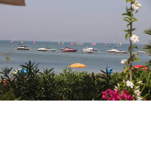Inmovecos Soling 11