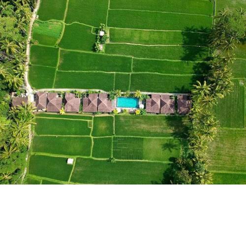 Intan Villa & Suite Ubud