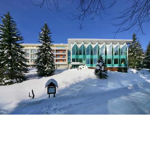 Interhotel Montana
