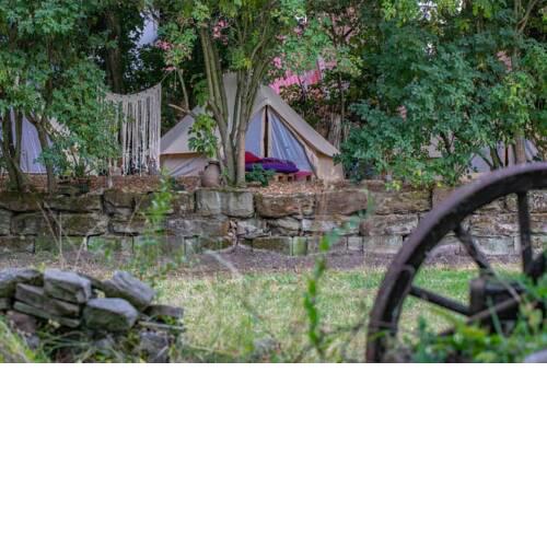 Into the Green Glamping