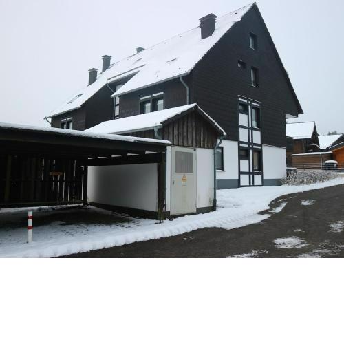 Inviting apartment in Winterberg near the ski area